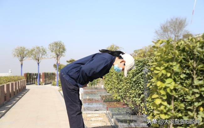 女子每天擦拭上百块墓碑 每次擦拭之前都要深鞠一躬
