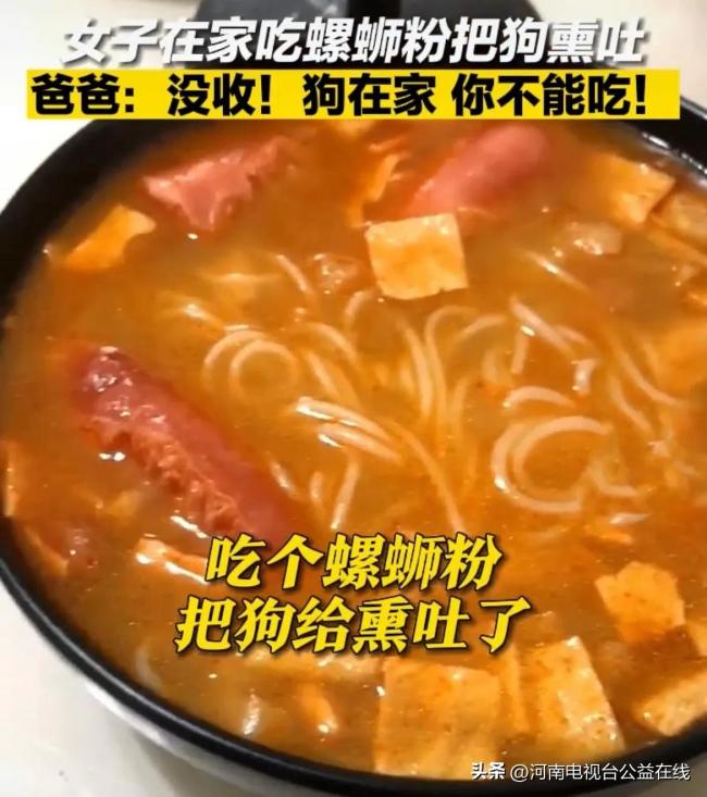 女子吃螺蛳粉把狗狗熏吐 爸爸警告：自己和狗在家时不能吃