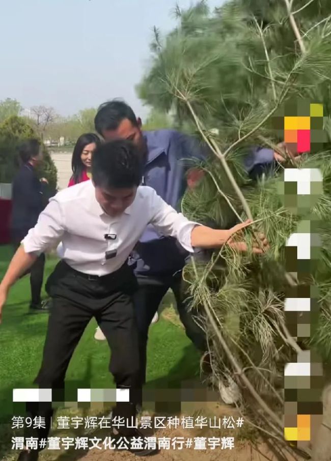 董宇辉：种一棵树最好的时间是10年前 干活有一个看起来粗俗但很地道的手势！