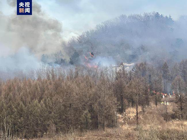 辽宁警方通报山火原因：居民上坟烧香引发！