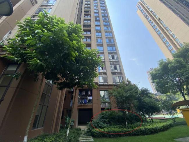 张波叶诚尘翻供 为逃避罪行竟称自己是神经病  