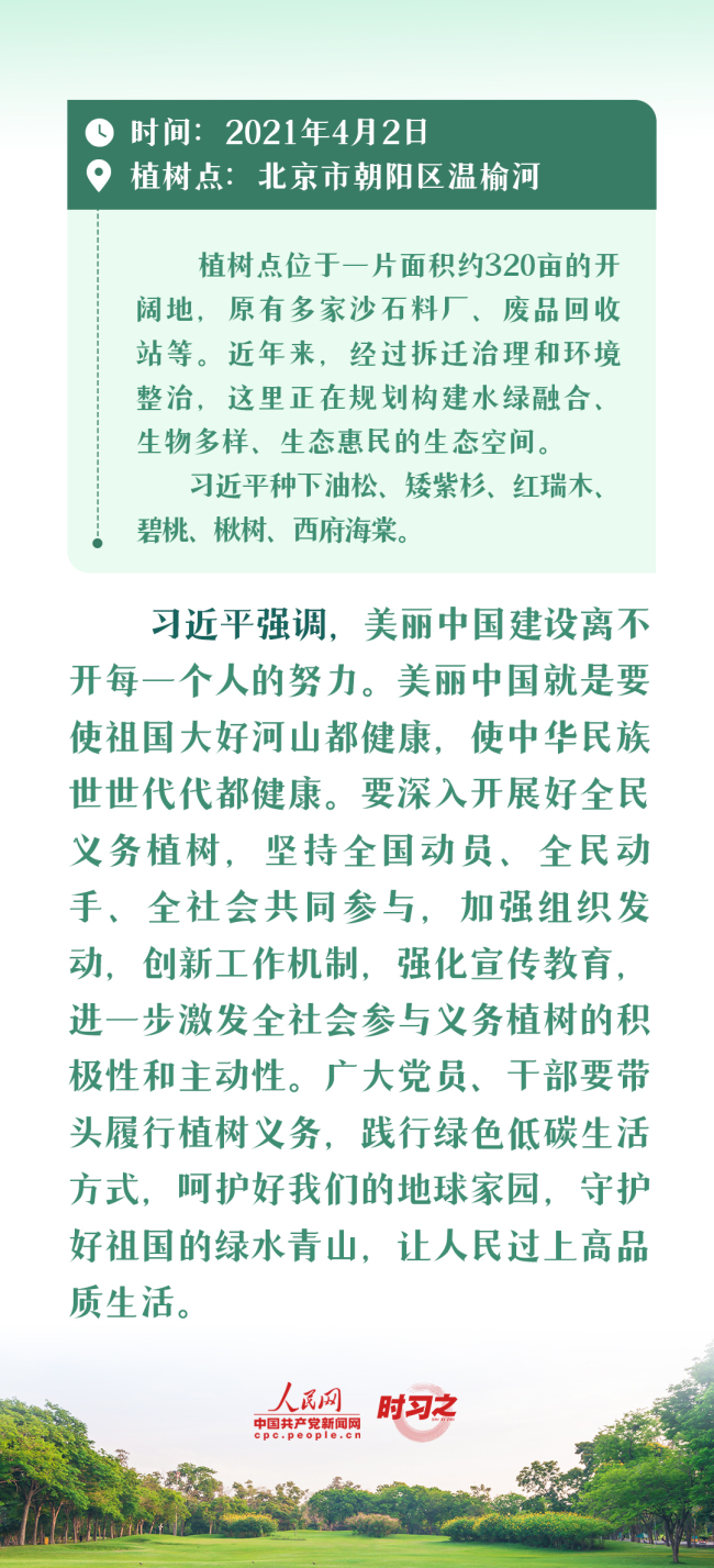 时习之 绘出美丽中国的更新画卷 与总书记一起厚植绿色未来