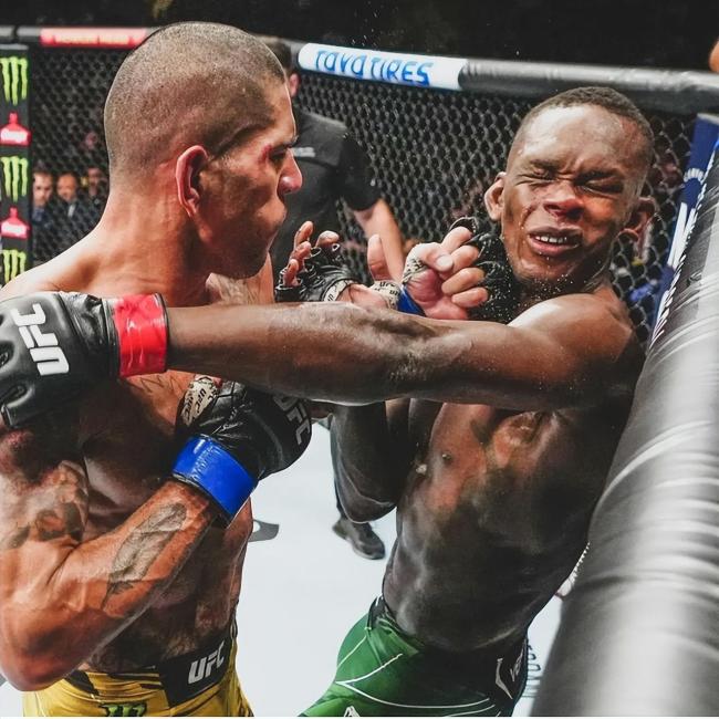 杀人诛心！黑龙嘲讽佩雷拉儿子，称“我心眼很小，兄弟”