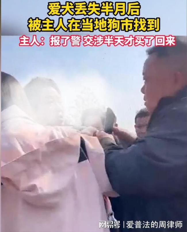 爱犬被盗后在狗市中找到：最后花550买回了自己的狗