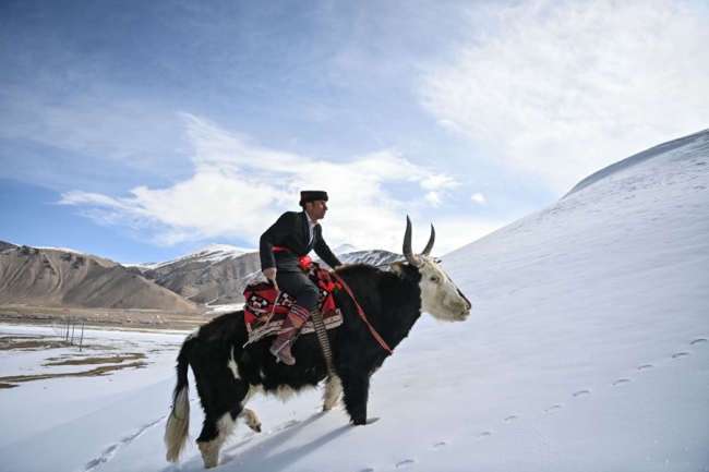 全球连线丨悦动天山：帕米尔高原上的牦牛骑士