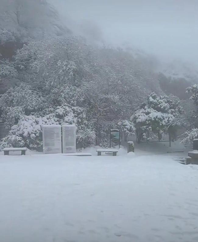 游客爬泰山遇下雪 日出没看成改看飞雪 