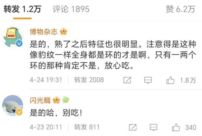 知名连锁日料餐厅现剧毒“蓝环章鱼” 其毒没有解药