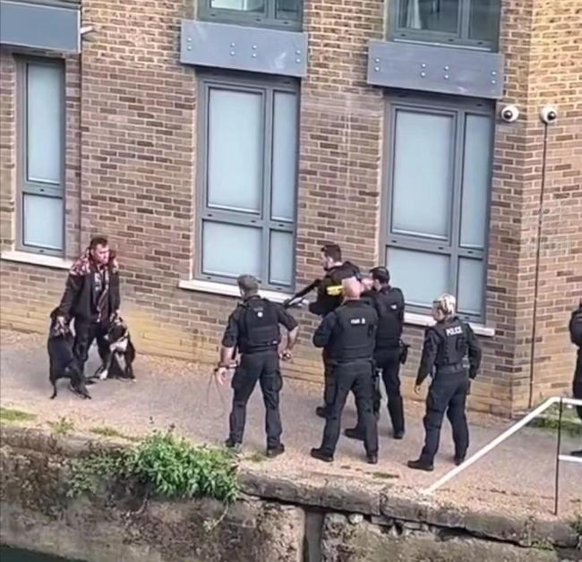 恶犬当街咬人，伦敦警察击毙伤人烈性犬