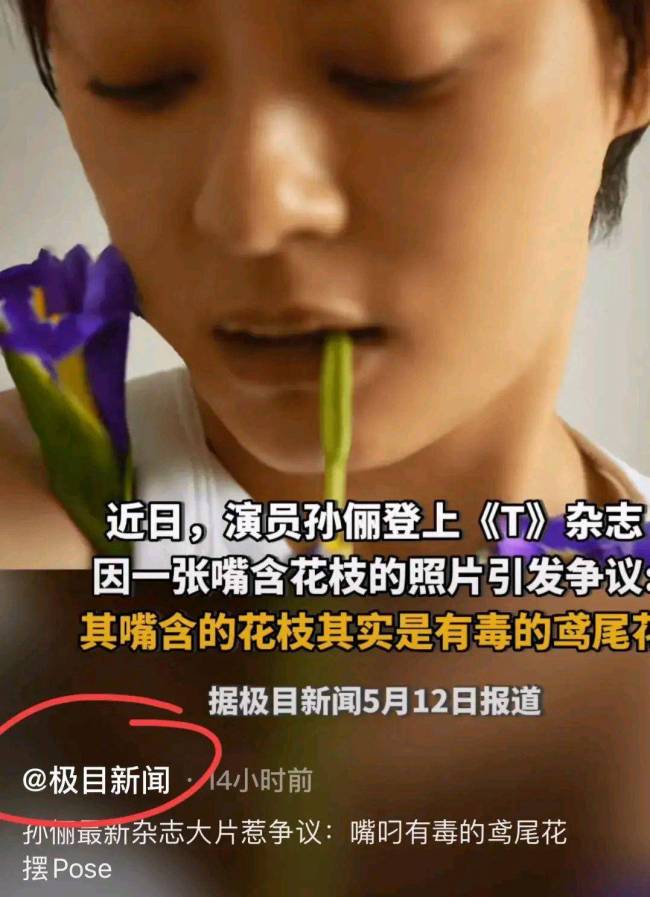 孙俪杂志大片引争议，嘴叼有毒道具摆姿势！