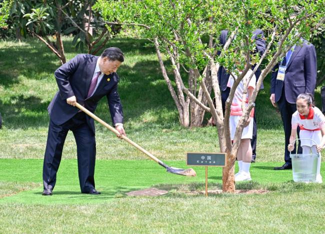 中国—中亚峰会丨这些年，习近平主席种下这些友谊之树