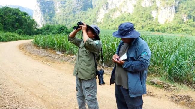 国际生物多样性日丨一群国宝·一位青年·石山精灵