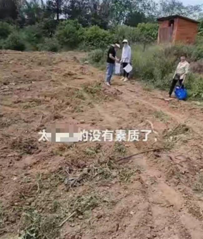 1土豆.jpg