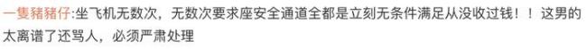 假装听不懂中文，还骂旅客是“狗”？南航调查旅客被辱骂事件