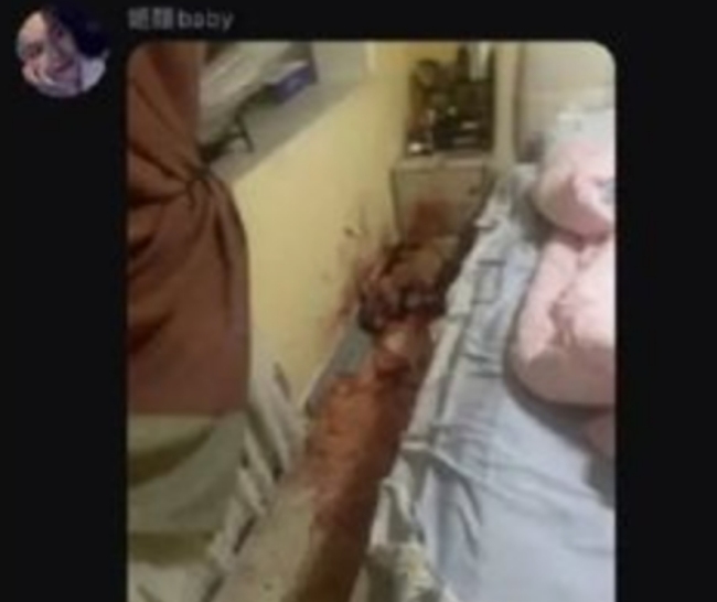男子当妻子面虐狗致死：男子当妻子面砍家中柯基