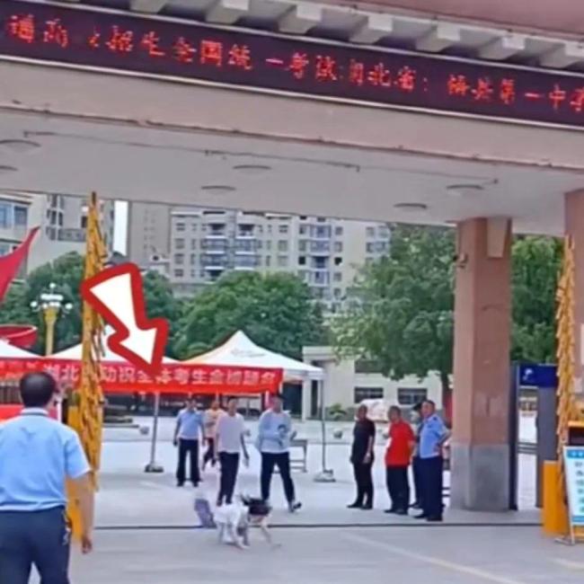 女生鲤鱼跃龙门式出考场 网友：这一跤至少211