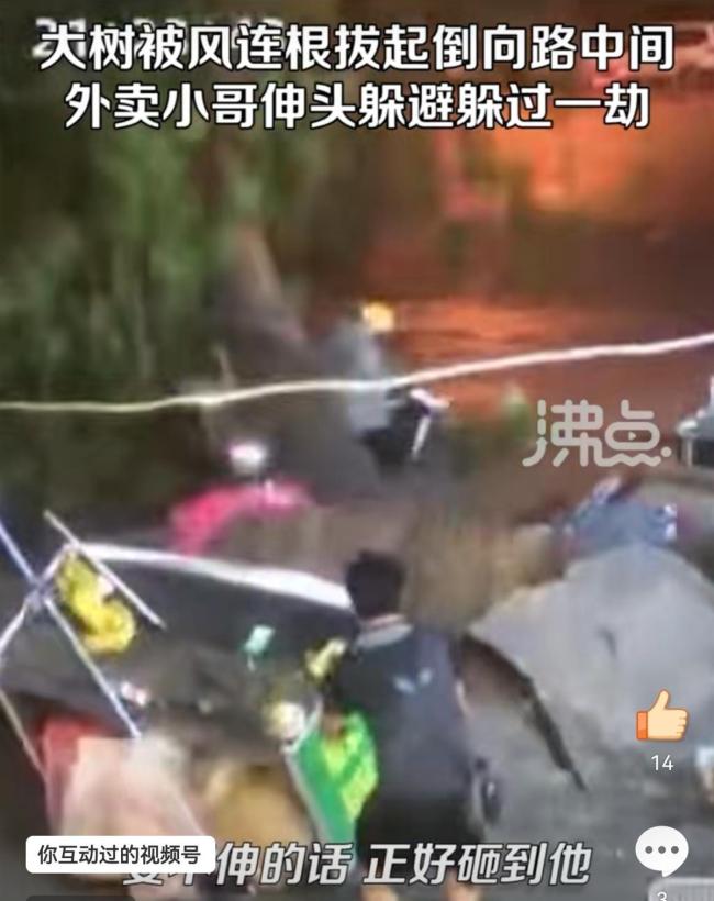 Screenshot_20230612_111458_com.sina.weibo_edit_960317502805028.jpg.jpg