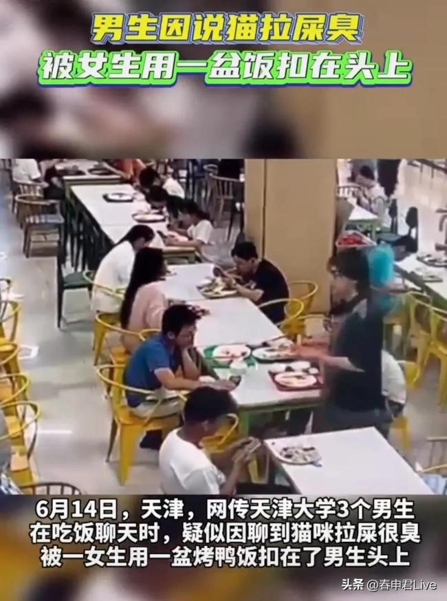 男生说猫屎很臭，被食堂里隔壁爱猫女生泼饭