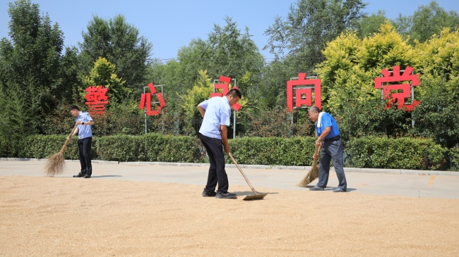 德州：派出所变身晒粮场 彰显“公安服务”温度