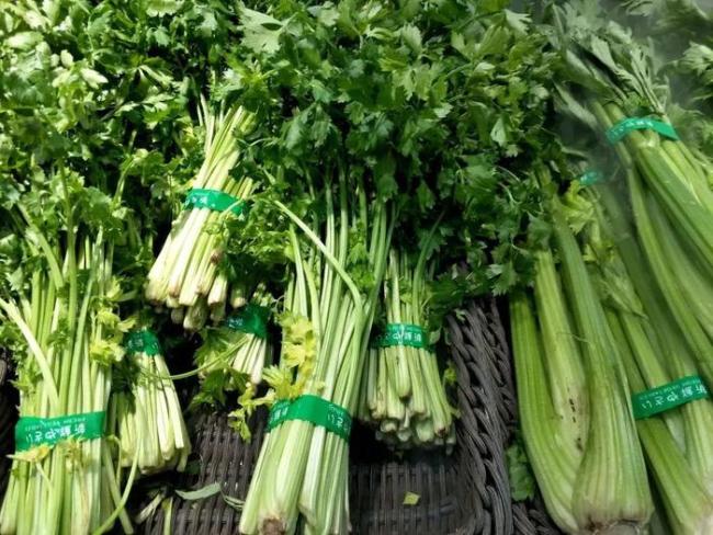 老伯卖菜被罚10万后续 法院：不准予强制执行