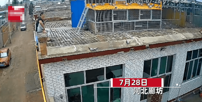 偷狗贼光天化日下作案 男子天台上喂鸽子听到惨叫声，用砖头怒砸汽车 