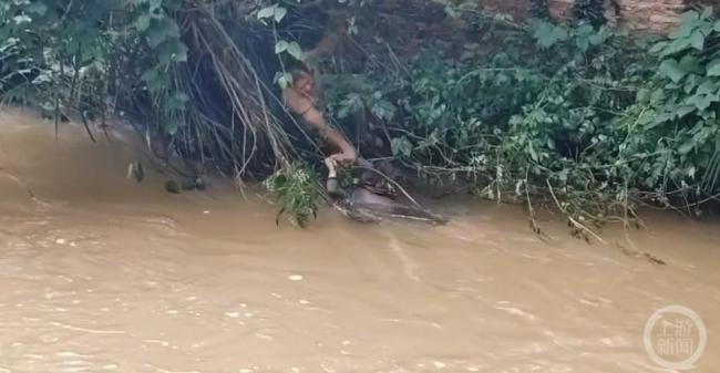 8岁男童被狗追掉入河中，湖南宁远两干部下水合力救援