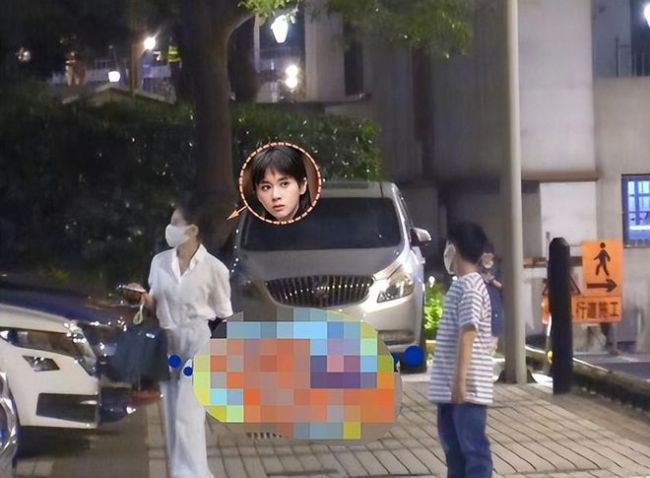 王子文带娃罕露面儿子乖巧懂事 孩子生父依旧成谜