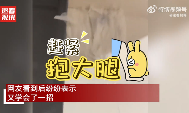 男子用湿纸巾“封印”蟑螂
