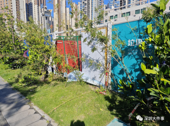 深圳一教练车撞马路护栏 学员练习时错把油门当刹车