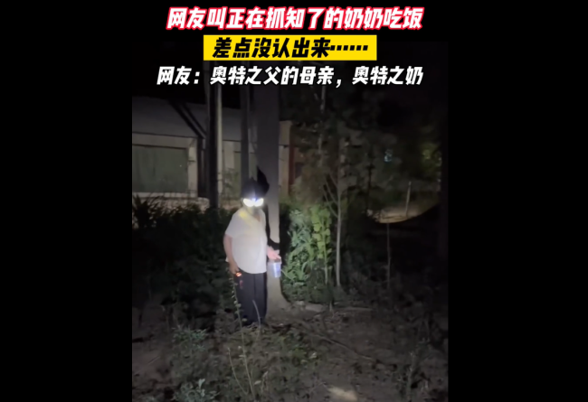 奶奶抓知了造型惊呆孙子