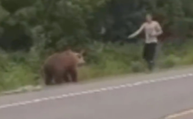 俄男子高速路喂熊险丧命：差点拿自己喂熊！