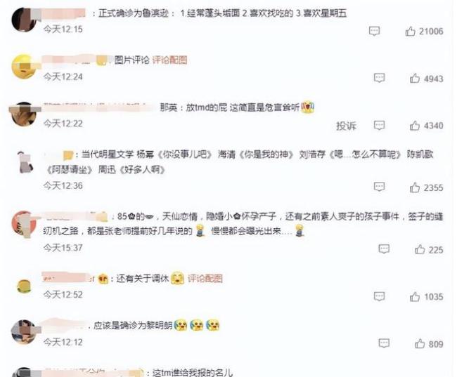 正式确诊为那英是啥梗？说我想说