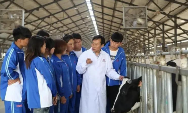 研究生教育时代来临 职业教育的风口在哪里？
