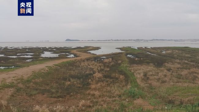 鄱阳湖水面积缩小1070平方公里 沿湖多地出现旱情