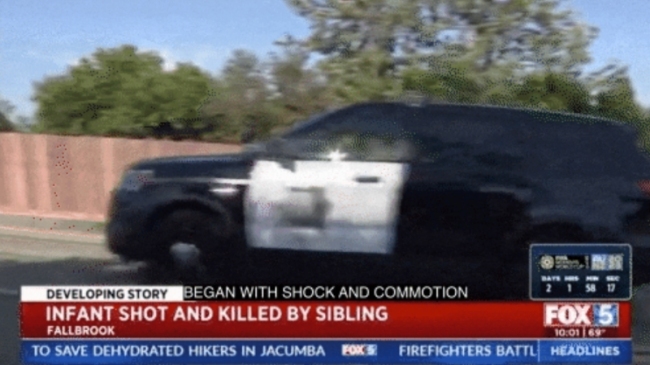 美国1岁女童被3岁哥哥枪杀