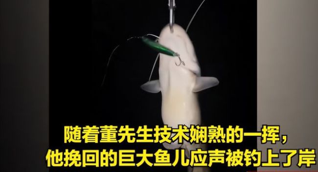 男子钓鱼意外“钓”到女友，鱼钩变“鼻环”当场疼哭