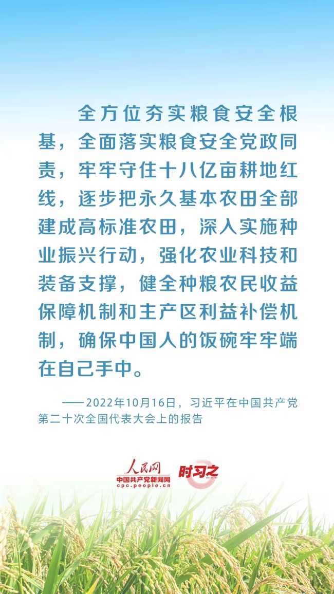 时习之 全方位夯实粮食安全根基 习近平强调切实加强耕地保护