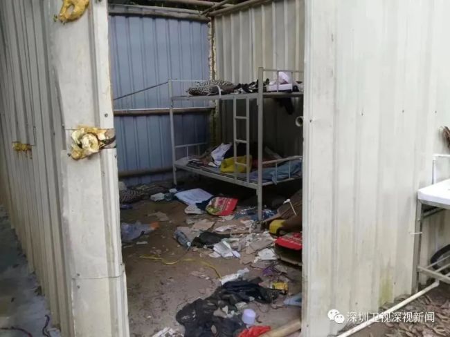 深圳荔枝园窝棚被拆后续 双方回应
