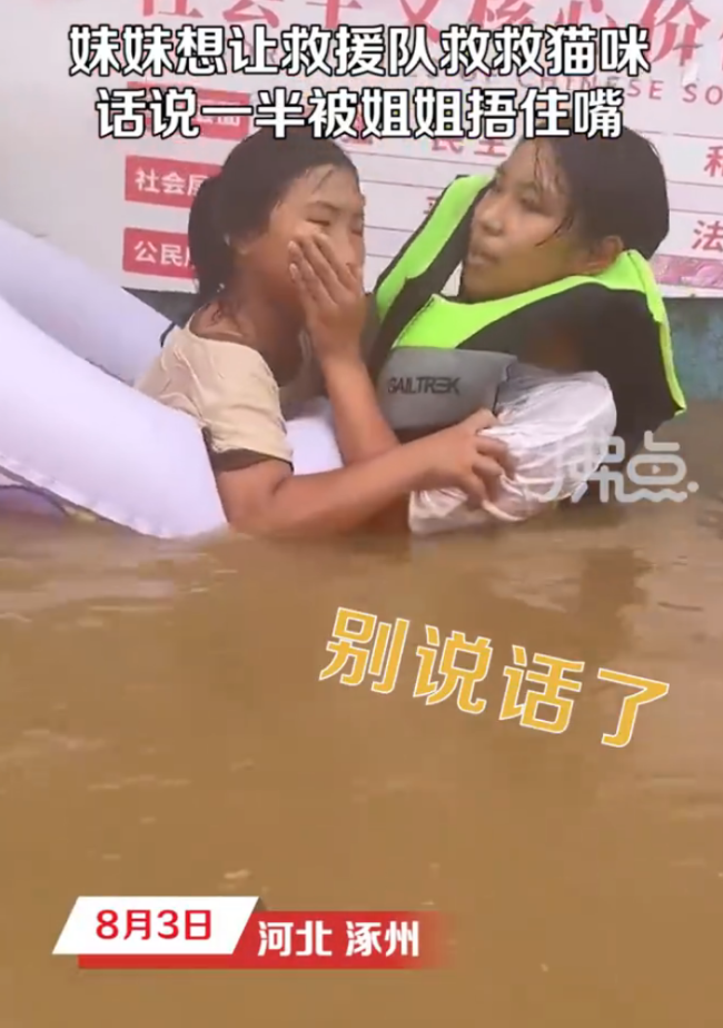 涿州一女孩想救猫被姐姐捂嘴 网友：妹妹善良 姐姐懂事
