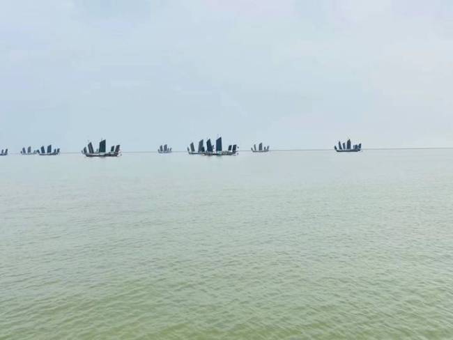 又见太湖碧波漾：17年，南太湖走出一条以生态保护促产业发展的变迁路