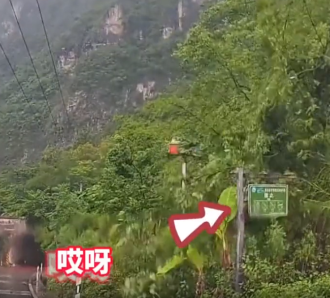 司机惊险躲过滚落巨石，驾车20秒遇3次落石
