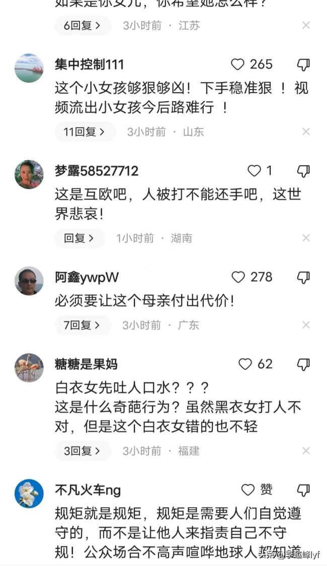 女子与母女俩高铁上互殴，口角最终演变成肢体冲突