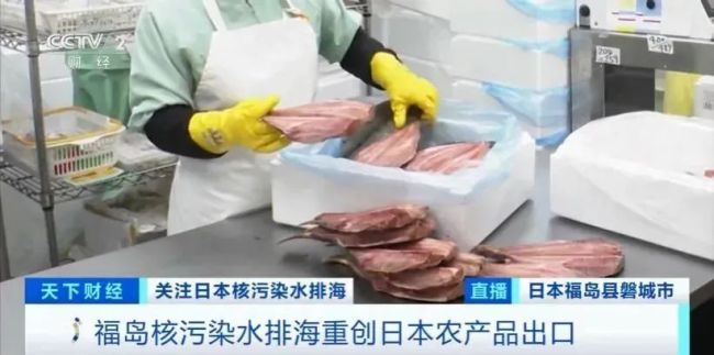 福岛产品半价无人买 日本游已开始退团 日企心态崩了