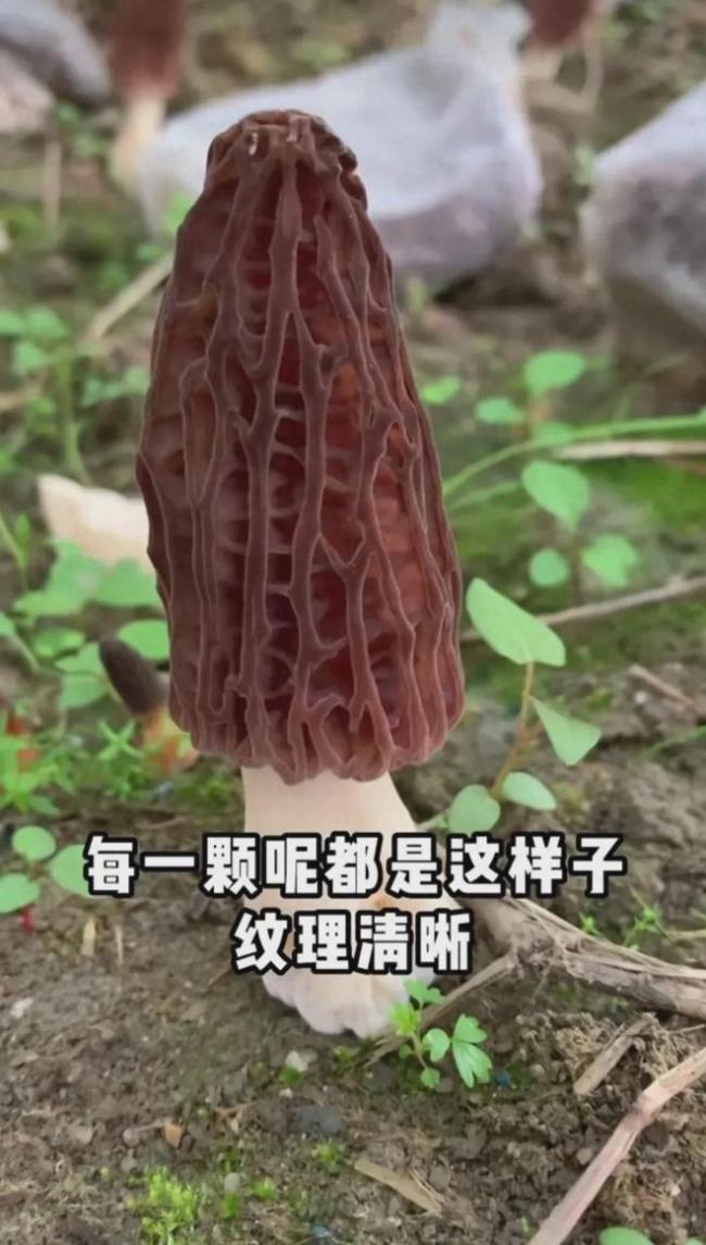 女子同时打5份工9年还清巨债，还改善了乡亲们的生活条件
