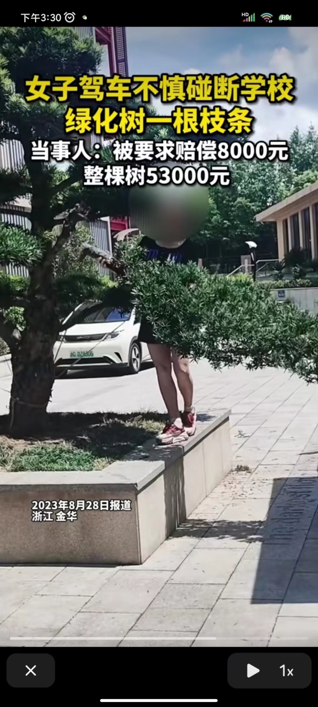 女子撞断绿化树枝被索赔 相关部门正在对该案件进行调查和处理