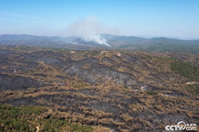 希腊野火烧毁超8万公顷土地