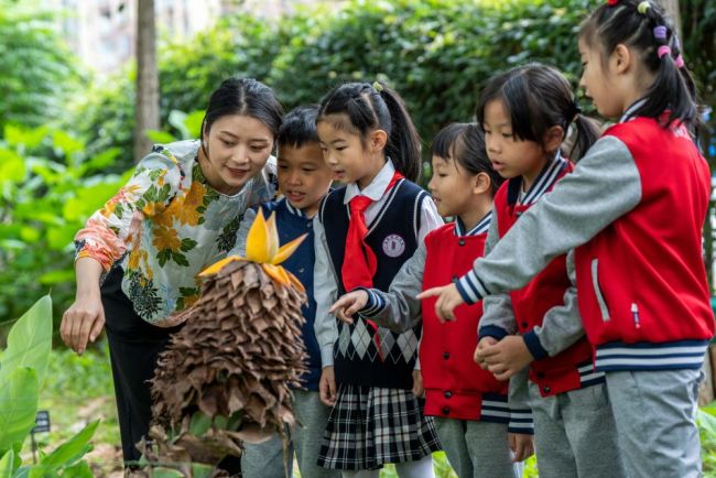 镜观中国丨你好，同学！