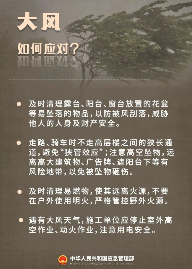 树被吹倒砸中车司机去世，“苏拉”再次登陆，“海葵”正逼近