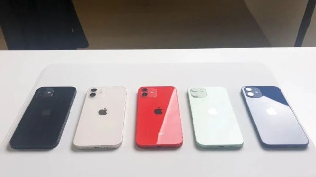 法国监管机构叫停iPhone 12销售 iPhone 15发布当天突遭“晴天霹雳”