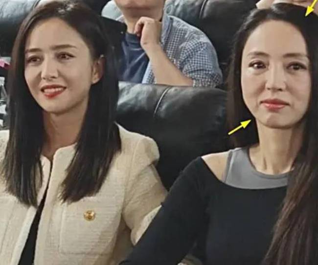 霍思燕现身前任4首映