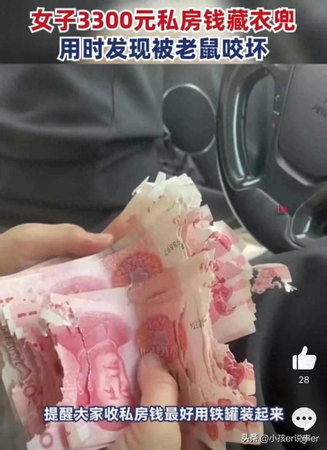 女子私房钱被老鼠咬坏，心都碎了